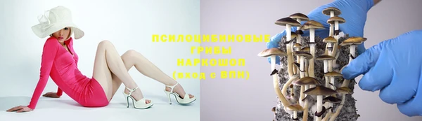 бошки Гатчина