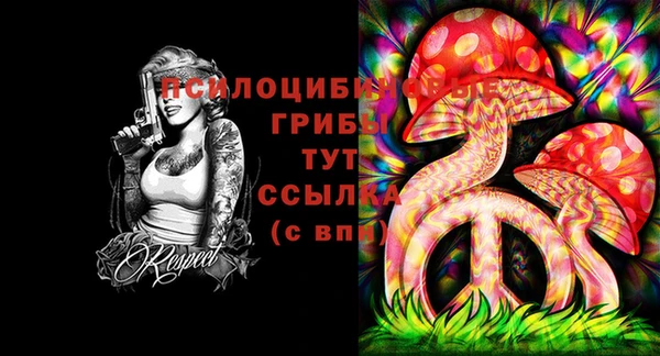 молекула духа Абдулино