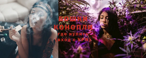 гидра Гвардейск