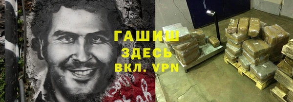 прущие грибы Абинск