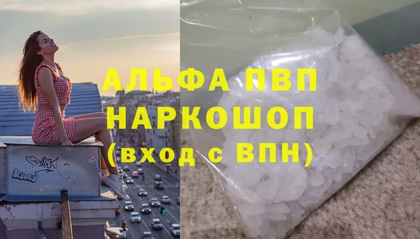 прущие грибы Абинск