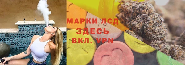 прущие грибы Абинск