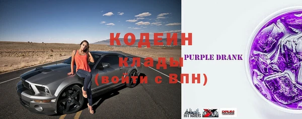 прущие грибы Абинск