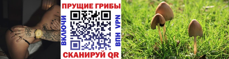 Галлюциногенные грибы мухоморы  Вичуга 