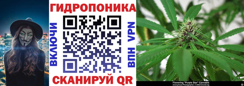 Каннабис White Widow  Вичуга 